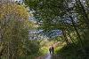 Walkers on the Tyne Derwent Way