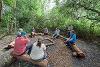 Forest School
