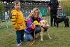 Tyne Derwent Way dog show