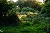 Habitat on the Tyne Derwent Way