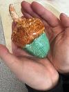 Riverside Routes crafts acorn