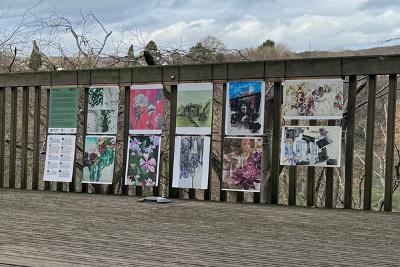 Artwork by young people from Thorp Academy at Gibside